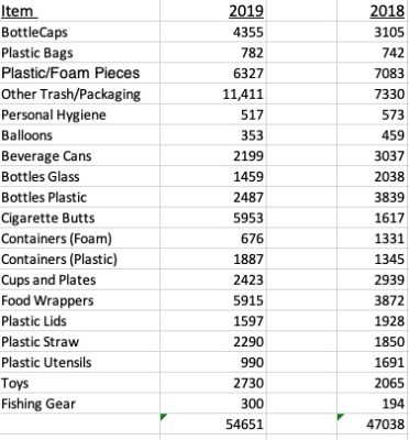 2019 Beach Clean Up Results